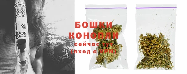сатива Зеленокумск