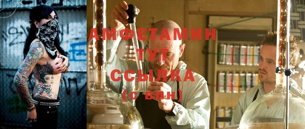 сатива Зеленокумск