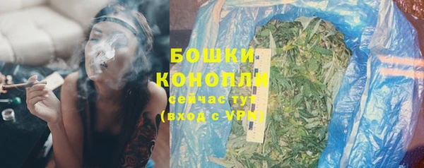сатива Зеленокумск